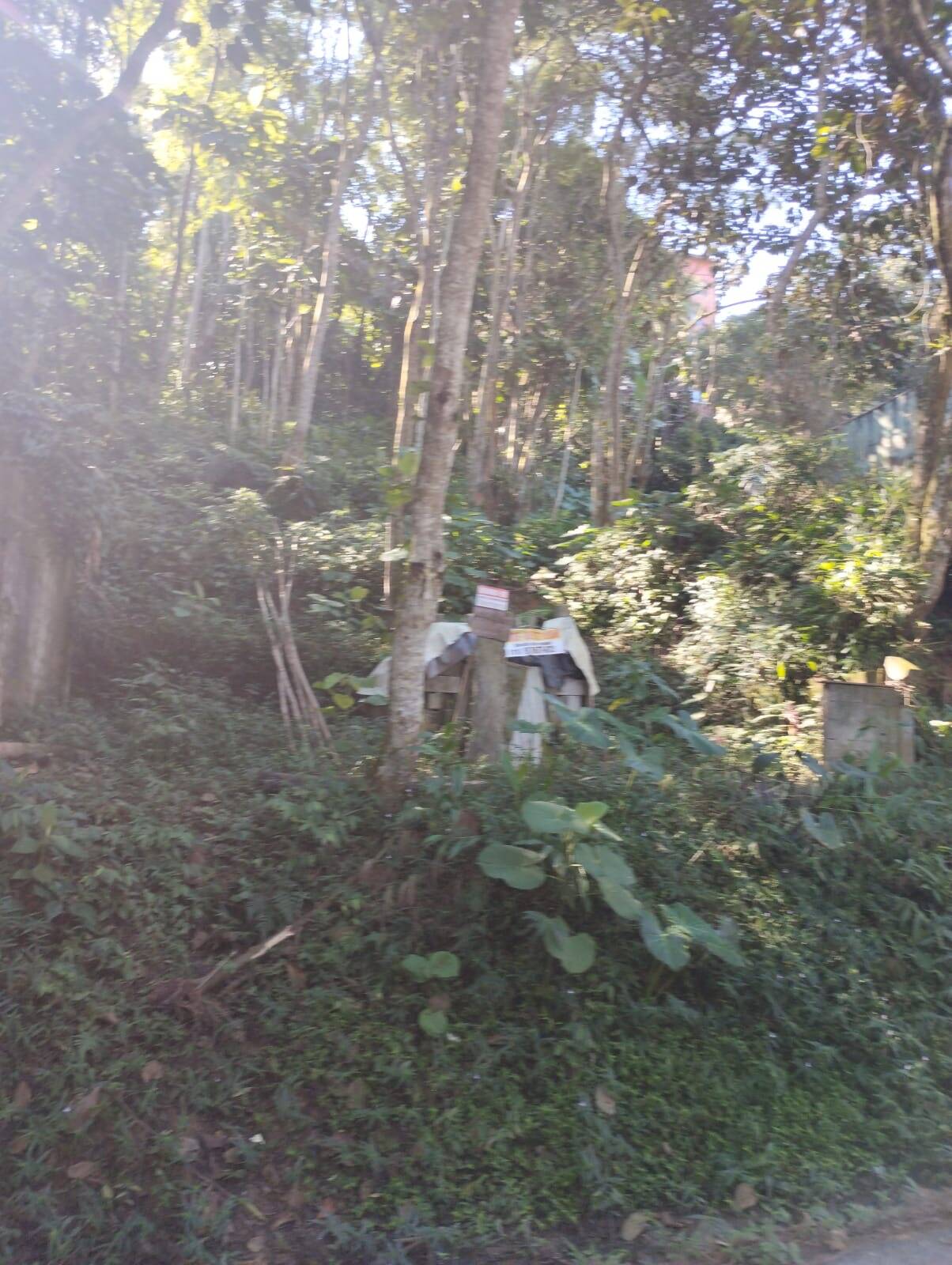 #TER138 - Terreno para Venda em Santo André - SP