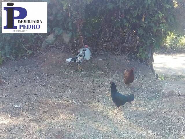 Chácara para Venda em Suzano - 5