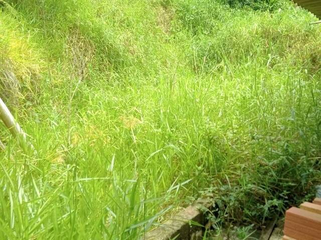 #CAS452 - Casa para Venda em Santo André - SP