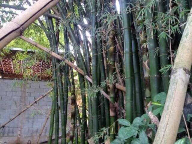 #CAS644 - Casa para Venda em Santo André - SP