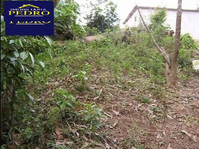 #TER143 - Terreno para Venda em Santo André - SP - 2