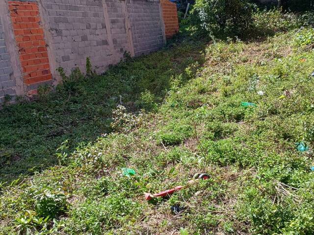 #TER160 - Terreno para Venda em Santo André - SP - 3