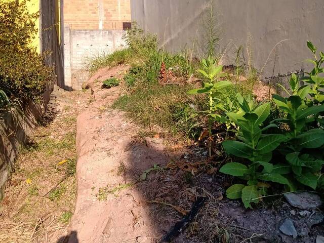 #TER170 - Terreno para Venda em Santo André - SP - 2