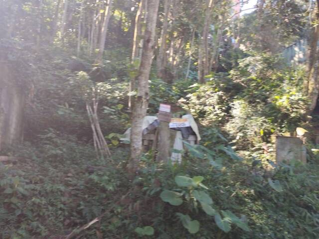 Venda em CLUBE DE CAMPO - Santo André