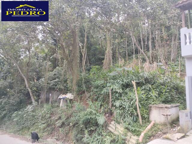 Terreno para Venda em Santo André - 2