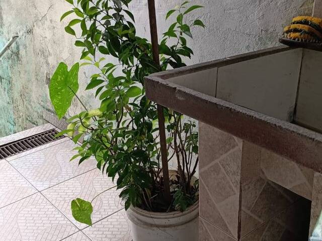 #CAS362 - Casa para Venda em Santo André - SP - 3