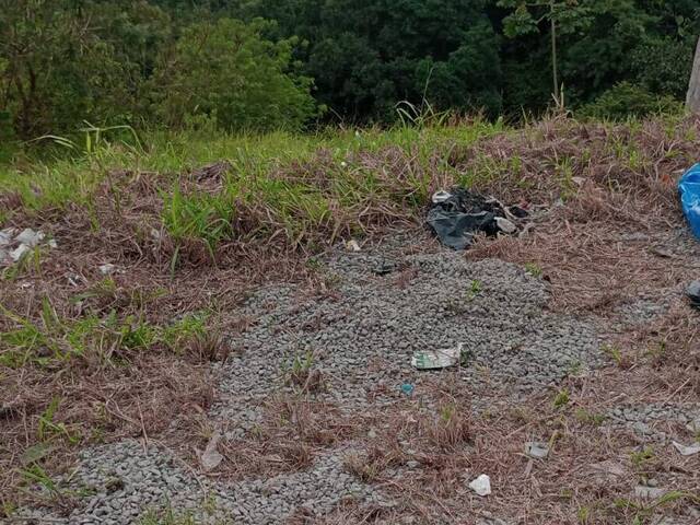 #TER164 - Área para Venda em Santo André - SP - 1